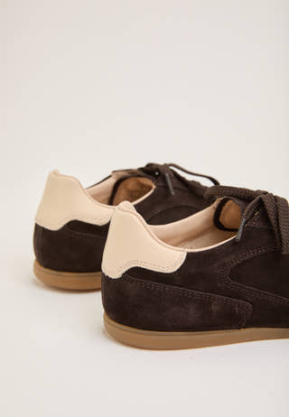 Sperly Low Lace Shoe Brown