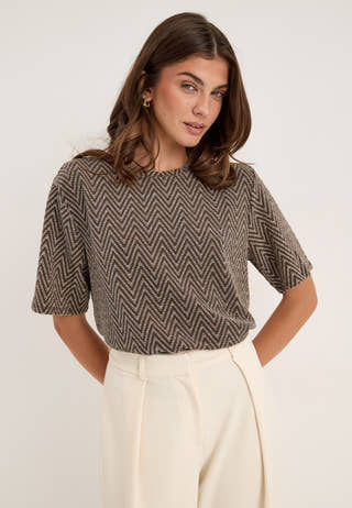 Pcfina Ss Oversize Tee Jrs Brown