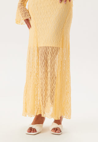 Lace Long Sleeve Ankle Dress