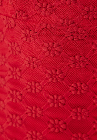 Adoni mesh midi dress