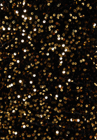 Lizette Sparkling Dress