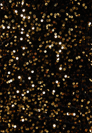 Lizette Sparkling Dress