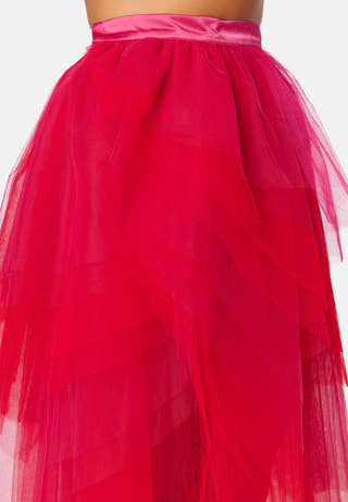 Two Tone Tulle Skirt