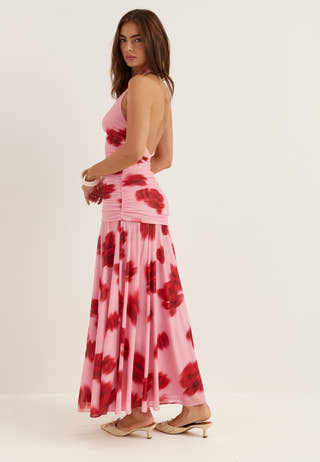 Cynthia Halter Print Maxi