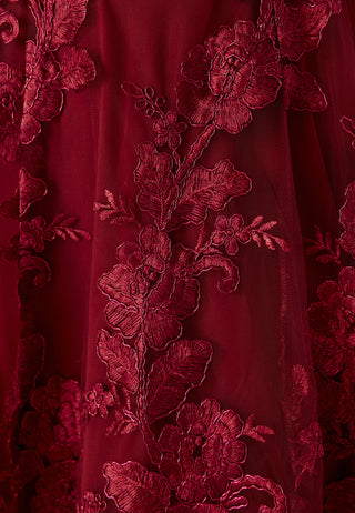 Embroidered Lace Dress