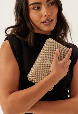 Zalina Flap Clutch