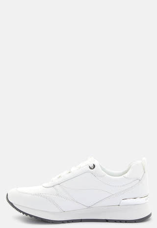 Allie Stride Trainer