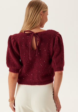 Pcmesva Ss Sequin Tie Back Knit