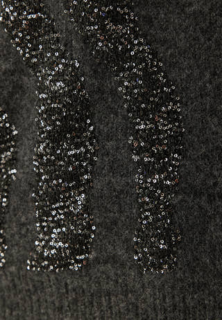 Pcrada Ls O-neck Sequin Knit